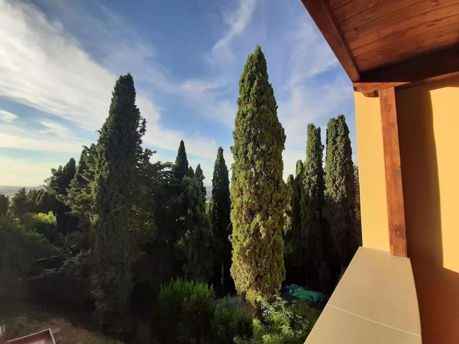 Lajatico Rentals - Terrazza Sul Tramonto Del Silenzio Eksteriør bilde